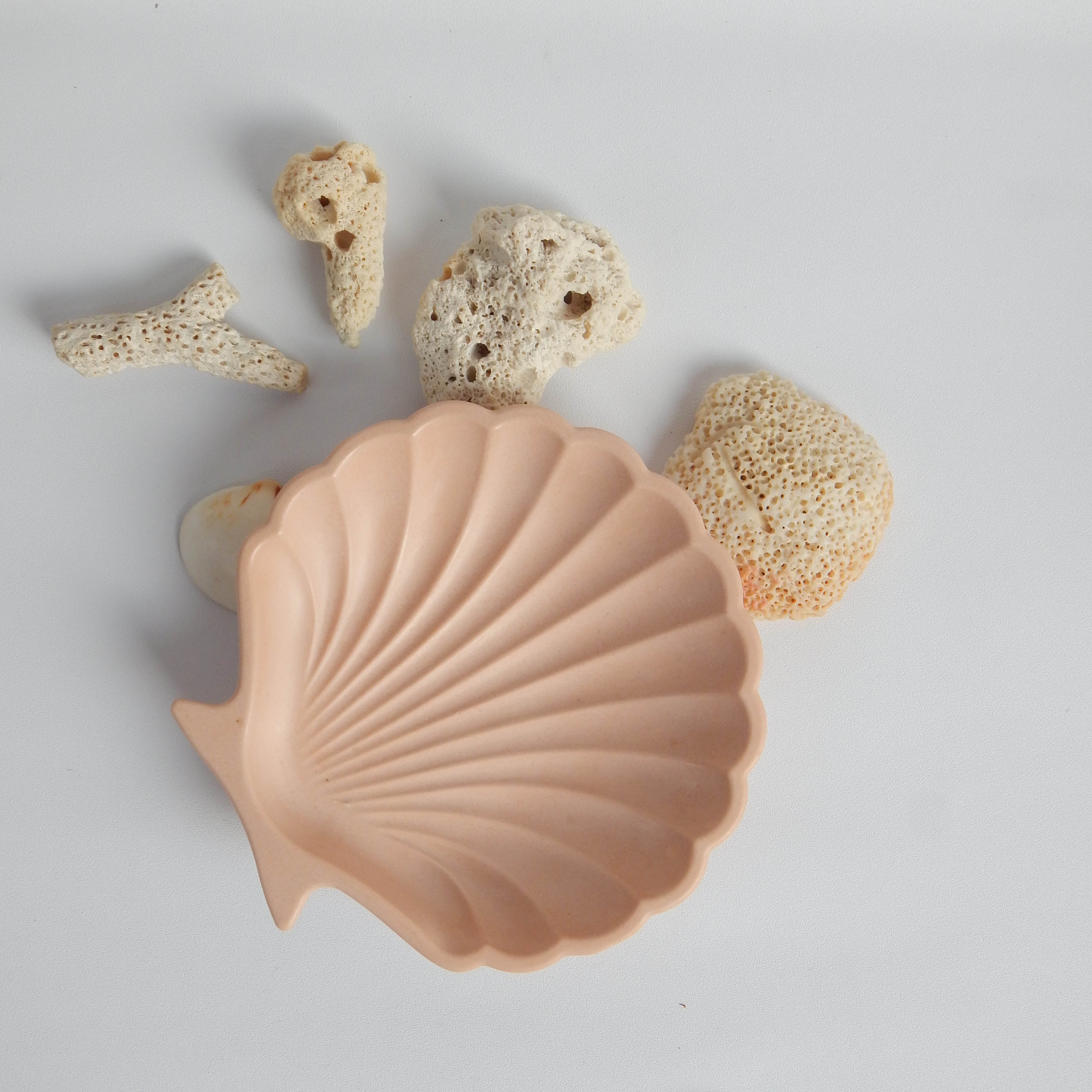 Shell Trinket Dish