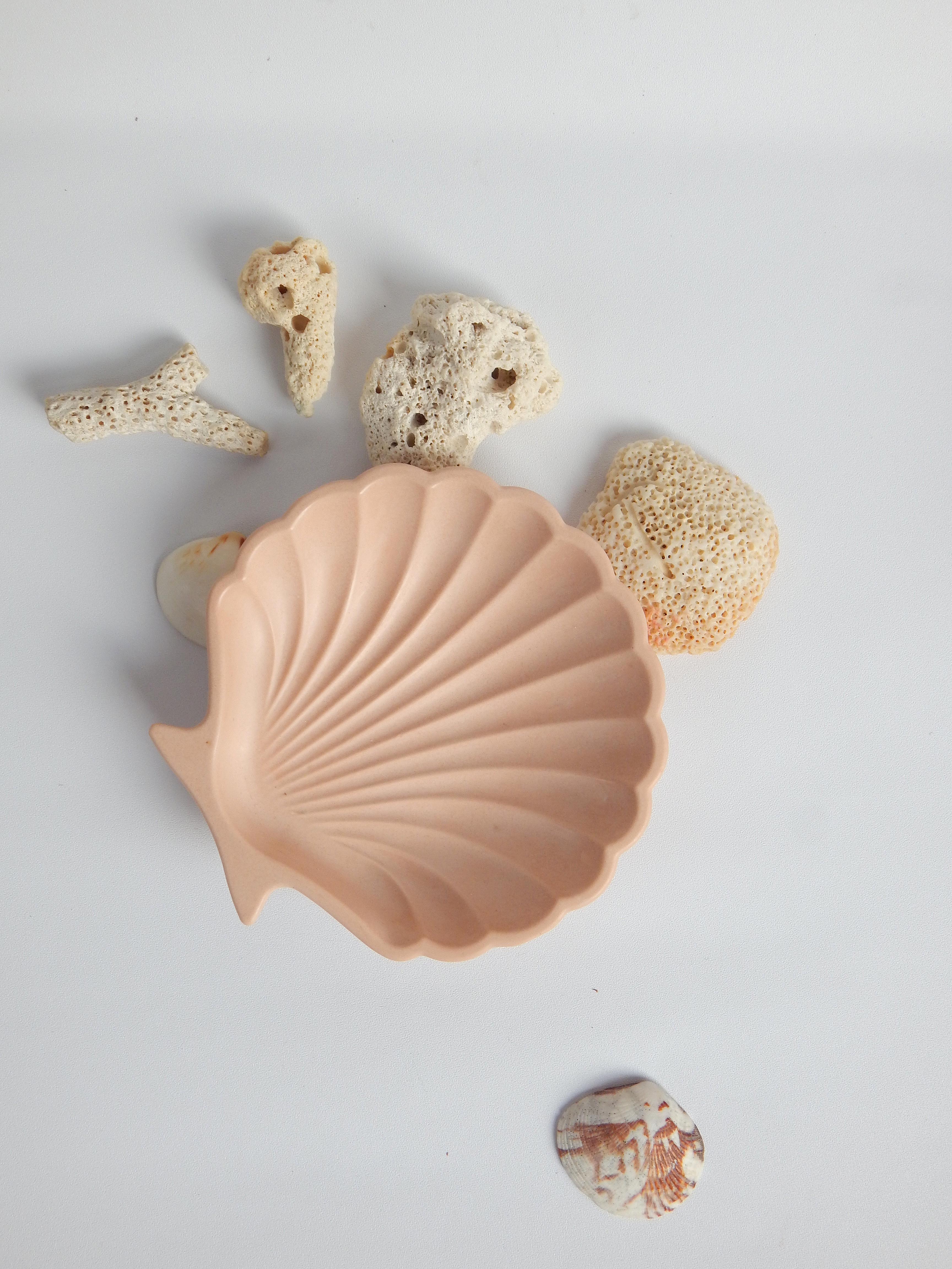 Shell Trinket Dish